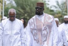 Ossature gouvernementale : après des fusions, la Guinée a désormais 27 ministères et deux Secretariats généraux (liste)