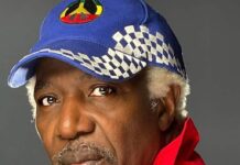 Alpha Blondy dément avoir chanté pour feu commandant Toumba Diakité